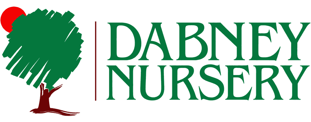 The Dabney Nursery