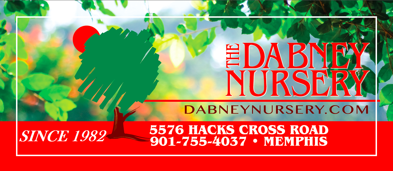 The Dabney Nursery